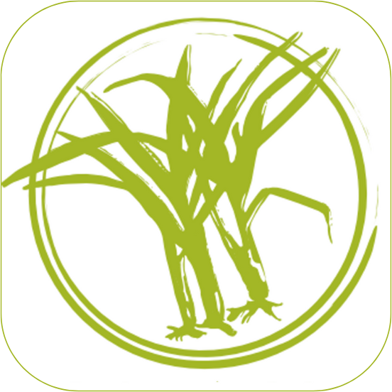 Lemongrass House Logo